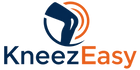 KneezEasy logo with a blue knee and orange wave on a transparent background